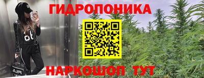 2c-b Сланцы