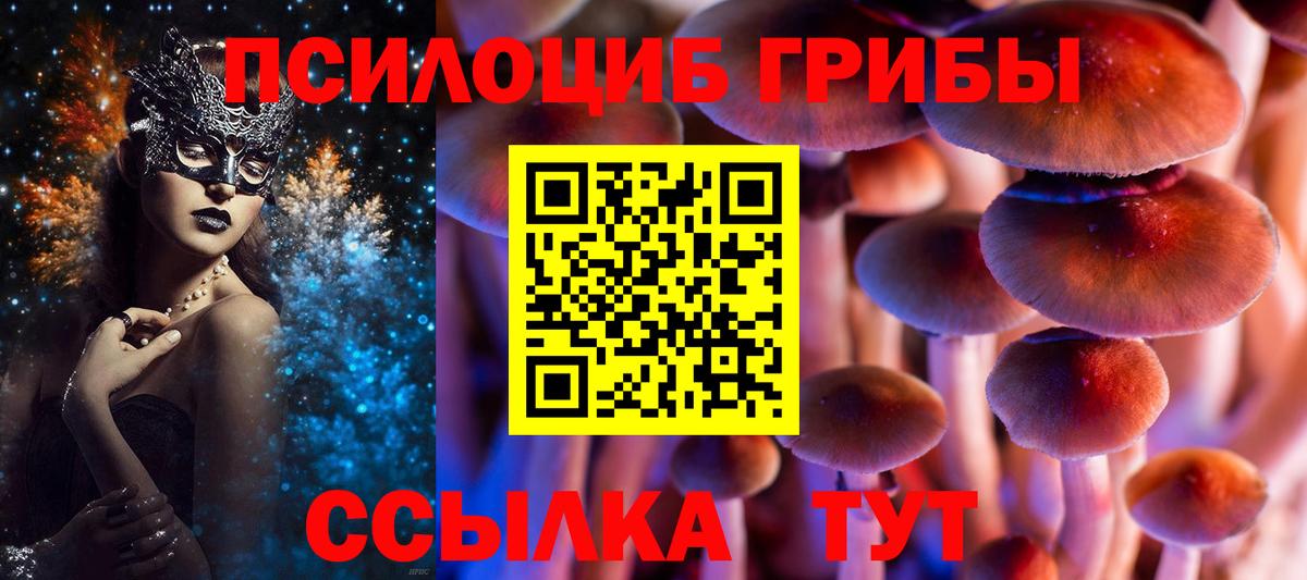 Псилоцибиновые грибы Psilocybine cubensis  Вход с VPN  Псилоцибиновые грибы Psilocybine cubensis  Нурлат 